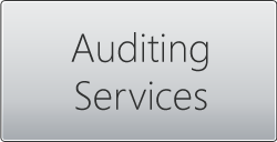  Auditing Services